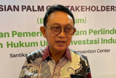 GAPKI Minta Regulasi Ekspor Satu Pintu Via DSI Diperjelas dan Diterapkan Bertahap Demi Jaga Pasar Sawit