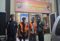 Kemenhut Tindak Illegal Logging di Habitat Harimau Sumatera, Dua Tersangka Ditahan
