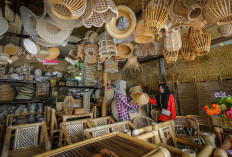 Ungkit Pertumbuhan UMKM dan Ekonomi Kerakyatan, BRI Berhasil Salurkan KUR Rp31,42 T hingga Februari 2026 