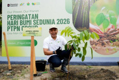Perkuat Prinsip ESG, PTPN IV PalmCo Targetkan Tanam 50 Ribu Pohon di Tahun 2026