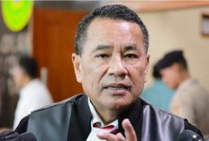 Hotman Paris Puji Ketegasan Prabowo di Kasus Febrie Adriansyah