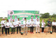 Wabup Katamso Pimpin Aksi Tanam Pohon Serentak, Wujudkan Kabupaten Lestari dan Ramah Lingkungan