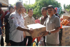 Wabup A. Khafidh Dampingi Gubernur Tinjau Kondisi Pascabanjir di Pulau Bayur dan Rantau Limau Kapas