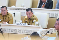Saat Raker Bersama Komisi II DPR RI, Gubernur Al Haris Terus Perjuangkan Nasib P3K Penuh Waktu dan Paruh Waktu
