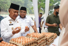 Wabup A. Khafidh Ajak Warga Manfaatkan Gerakan Pangan Murah di Merangin