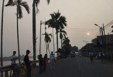 ISPU Kota Jambi Tembus 172, Kabut Asap Memburuk! Sekolah Kembali Daring 3 Hari