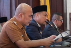 Di Paripurna DPRD, Dedy Putra Banggakan Capaian APBD Bungo 2025