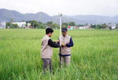 Antisipasi Penumpukan Berkas, Kementerian ATR/BPN Uji Coba Layanan Pengukuran Terjadwal 38 Kantor Pertanahan