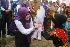Ketua Tim Pembina Posyandu Tanjab Barat Tinjau Pelaksanaan Posyandu 6 Bidang SPM di Kecamatan Pengabuan