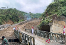 Pascabencana Banjir dan Longsor, Pemerintah Selesaikan Pembangunan 6 Jembatan Darurat di Aceh