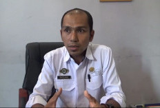 Empat Kecamatan di Batang Hari Rawan Karhutla, Berikut Daftarnya 