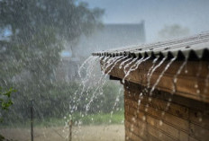 Waspada! Akhir pekan, BMKG Prakirakan Potensi Hujan Lebat di Sejumlah Wilayah