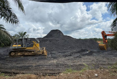 Kasus Batubara Bergulir di Polda Jambi, Kuasa Hukum: Sengketa Bisnis Dipaksakan Menjadi Perkara Hukum