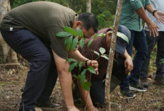 Bupati M. Syukur Pimpin Aksi Penanaman Pohon di Hutan Rio Kemunyang demi Kelestarian Lingkungan
