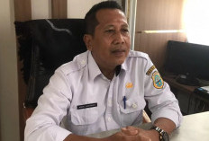 Puncak Kemarau Diprediksi Agustus-September, BPBD Tanjabtim Ingatkan Ancaman Karhutla