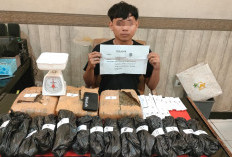 Remaja di Jambi Ditangkap Miliki 4,1 Kg Ganja, Sudah Enam Kali Ambil Barang dari Pemasok