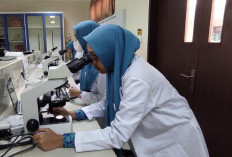 Cetak Sejarah, MAN IC Serpong Jadi Madrasah Pertama di Indonesia Masuk Jaringan IB World Schools
