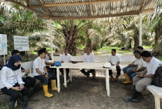 Kebun PTPN IV Regional IV Utamakan Operational Excellence 