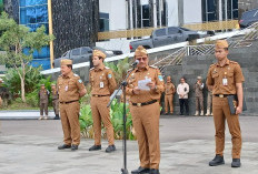 Ngeri! ASN Kota Jambi Mulai Dipecat, Maulana: Pelanggar Disiplin Tak Ada Ampun