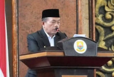 Gubernur Jambi: Penyusutan Air Danau Kerinci Akibat Curah Hujan Minim