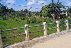 Sungai Catur Rahayu–Sidomukti Dangkal, Warga Khawatir Banjir Kembali Mengancam